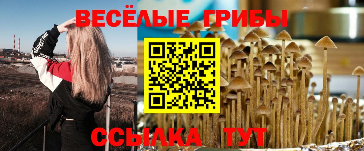 Псилоцибиновые грибы мухоморы Искитим