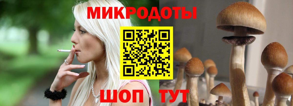 Искитим  Галлюциногенные грибы мухоморы  Вход с VPN 